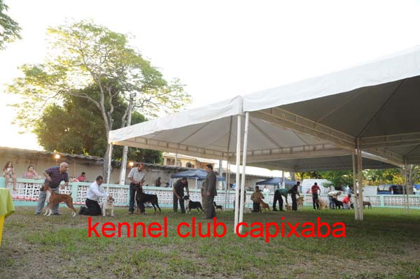 Clique sobre a foto para fechar